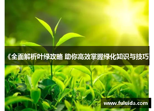 《全面解析叶绿攻略 助你高效掌握绿化知识与技巧》 《全面解析叶绿攻略 助你高效掌握绿化知识与技巧》