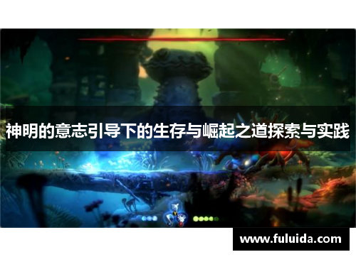神明的意志引导下的生存与崛起之道探索与实践 神明的意志引导下的生存与崛起之道探索与实践